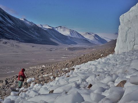1977-155-D-Cowie-at-Meserve-Glacier-terminus.jpg