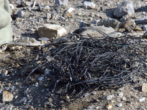1990-109-Copper-wiring-at-Marble-Point-camp-site.jpg