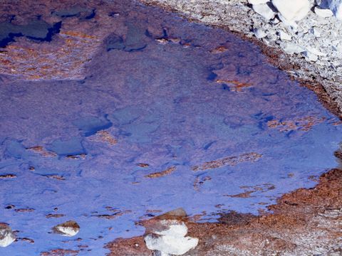 1992-175-Cyanobacteria-in-meltwater-pool-at-Cape-Roberts.jpg