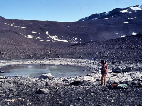 ASD-1982-site501L.jpg