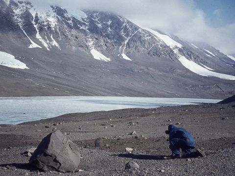 ASD-1972-site-313L.jpg