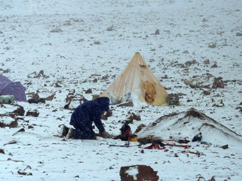 1998-039-D-Sheppard-W-Mahaney-soil-sampling-at-New-Mountain.jpg