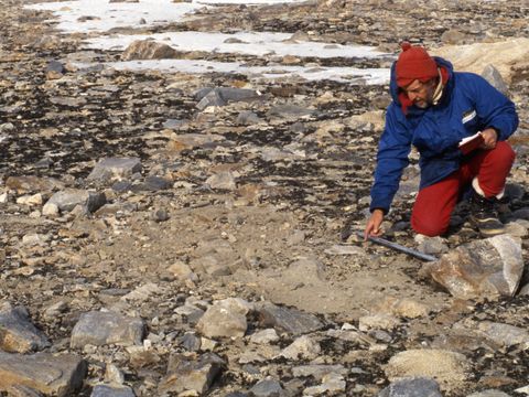 1991-085-I-Campbell-assessing-surface-disturbance-after-a-pit-excavation-at-Marble-Point.jpg