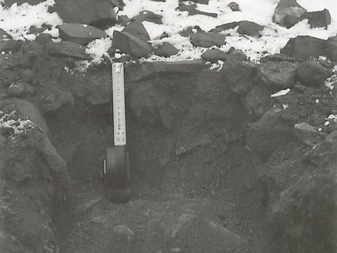 ASD-1982-site494.jpg