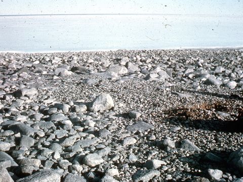 ASD-1964-site037L.jpg