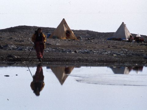 1991-242-M-Balks-at-the-Marble-Point-camp.jpg