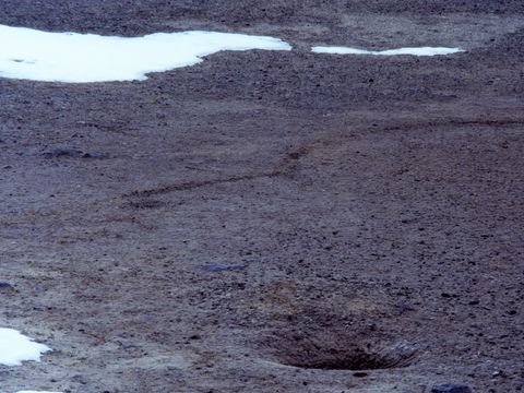 ASD-1987-site524L.jpg