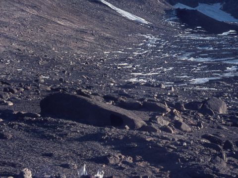 ASD-1972-site309L.jpg