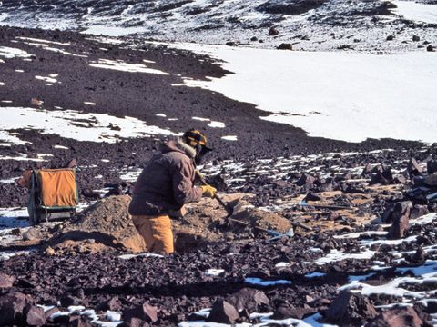 ASD-1982-site493L.jpg