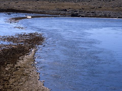 1990-164-Beginning-of-lake-freeze-at-Marble-Point.jpg