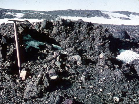 ASD-1964-site-42.jpg