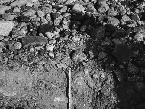 ASD-1964-site051.jpg