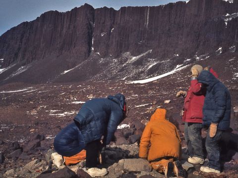 1978-149-Soil-pit-inspection-with-US-scientists.jpg