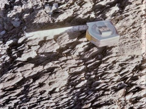 ASD-1979-site472.jpg