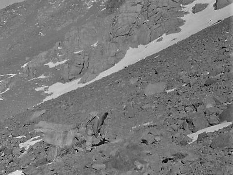 ASD-1969-site236L.jpg