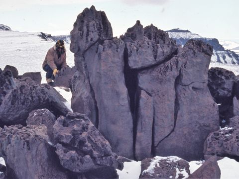 ASD-1982-site-494L.jpg