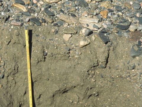 ASD-1999-site892.jpg